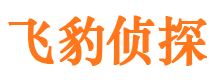 东丽市侦探公司